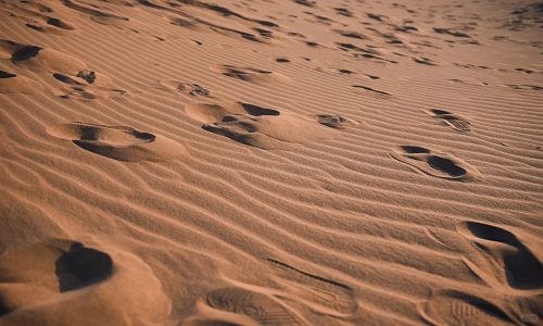Sand-Dunes